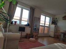 Mieszkanie 1-pokojowe Łódź Olechów. Zdjęcie 1