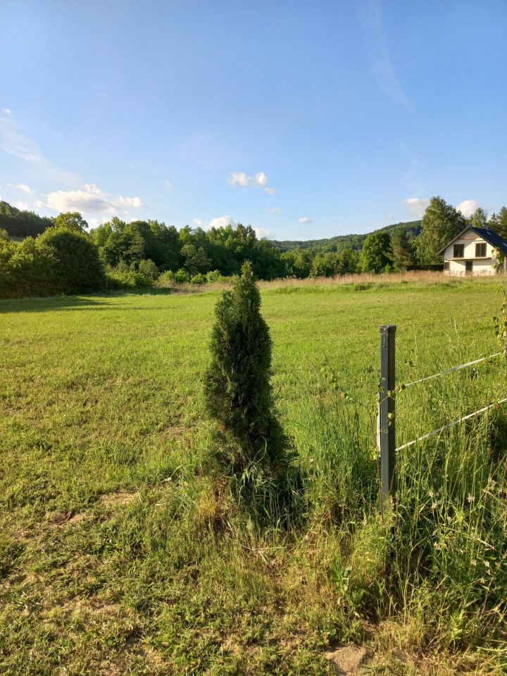 Działka budowlana Gogołów. Zdjęcie 5