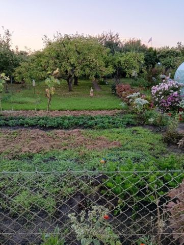 Działka rekreacyjna Stargard, ul. Spokojna. Zdjęcie 1