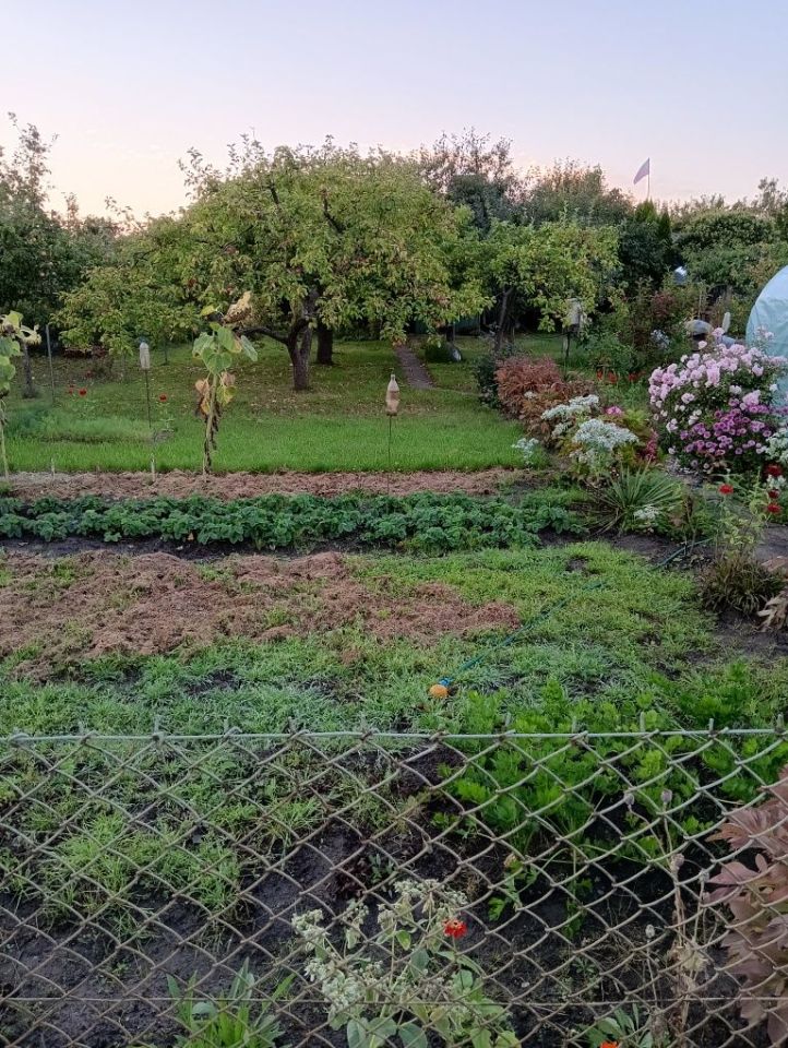 Działka rekreacyjna Stargard, ul. Spokojna. Zdjęcie 1