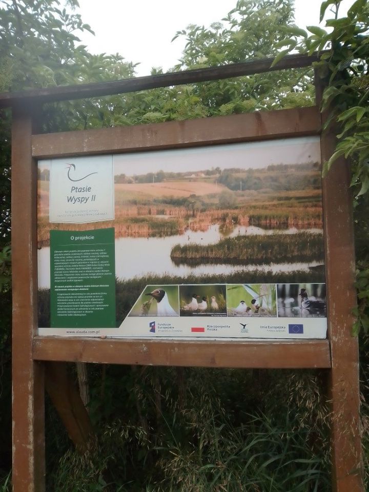 Działka budowlana Mościska. Zdjęcie 8