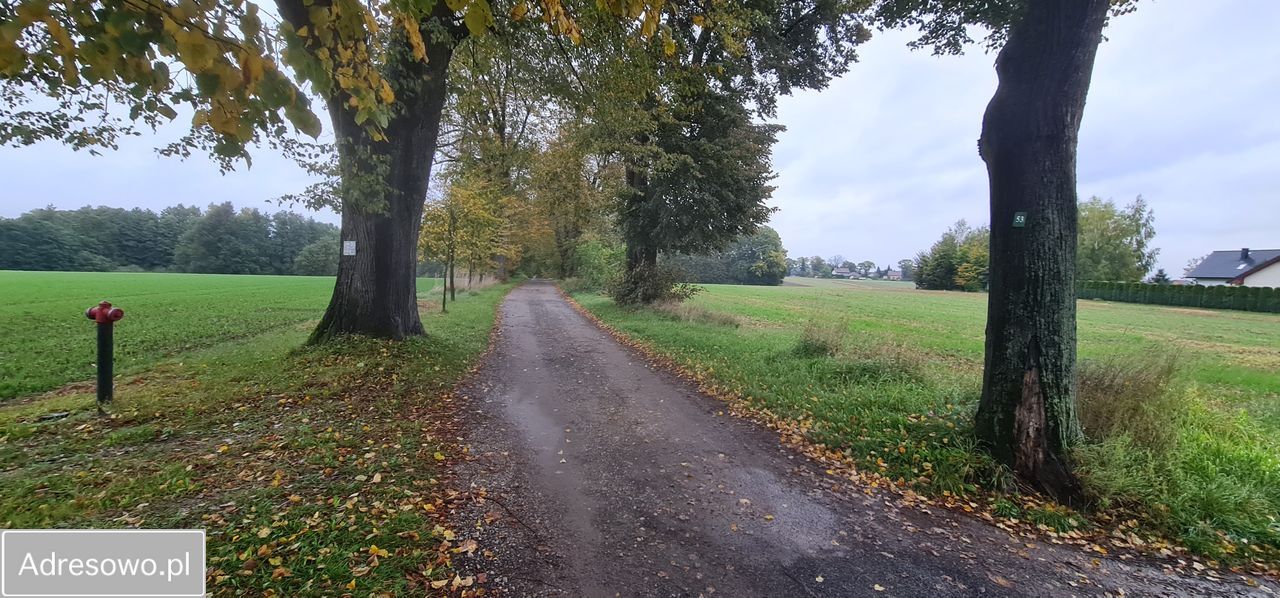 Działka budowlana Dankowice, ul. Do Lipek. Zdjęcie 7