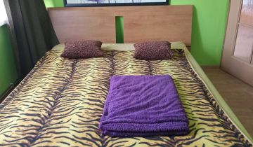 Mieszkanie 3-pokojowe Spalice, ul. Warszawska