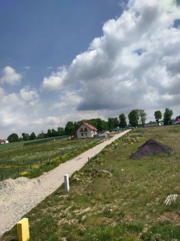 Działka rolna Przemocze, ul. Kasztanowa. Zdjęcie 2