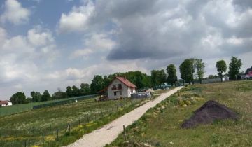 Działka rolno-budowlana Przemocze, ul. Kasztanowa