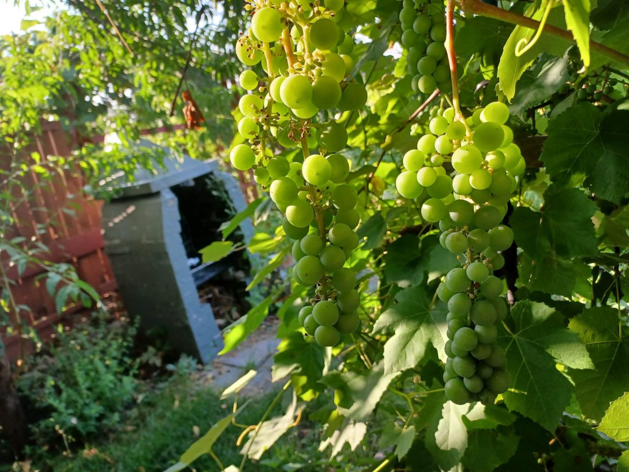 Działka rod Tarnobrzeg Bugaj, ul. św. Barbary. Zdjęcie 10