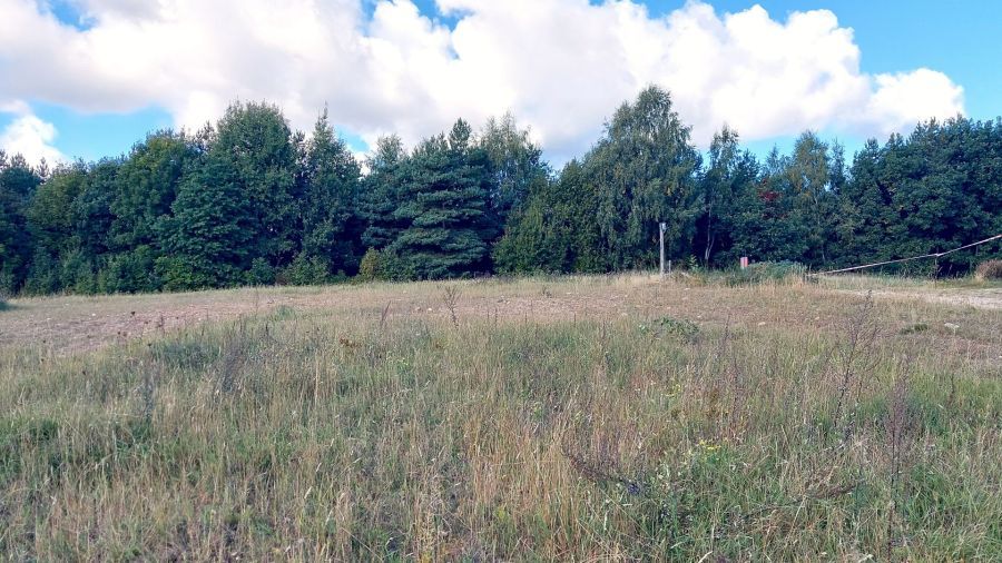 Działka budowlana Gdynia Dąbrowa. Zdjęcie 5