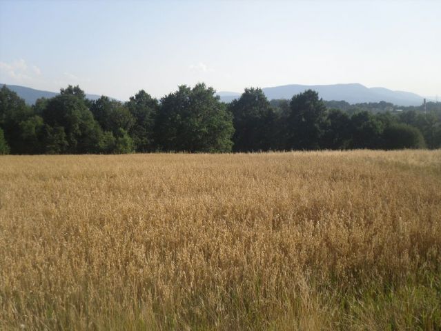 Działka rolna Kęty. Zdjęcie 1
