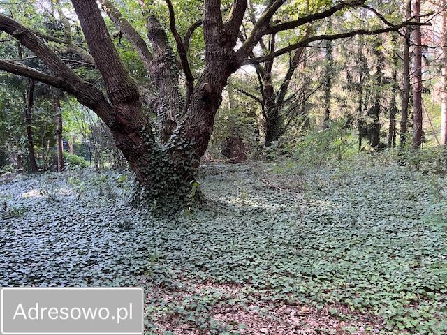 Działka rekreacyjna Popowo-Parcele, ul. Brzozowa. Zdjęcie 8