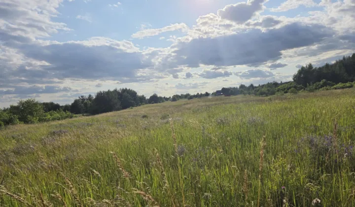 Działka rekreacyjna Chechło