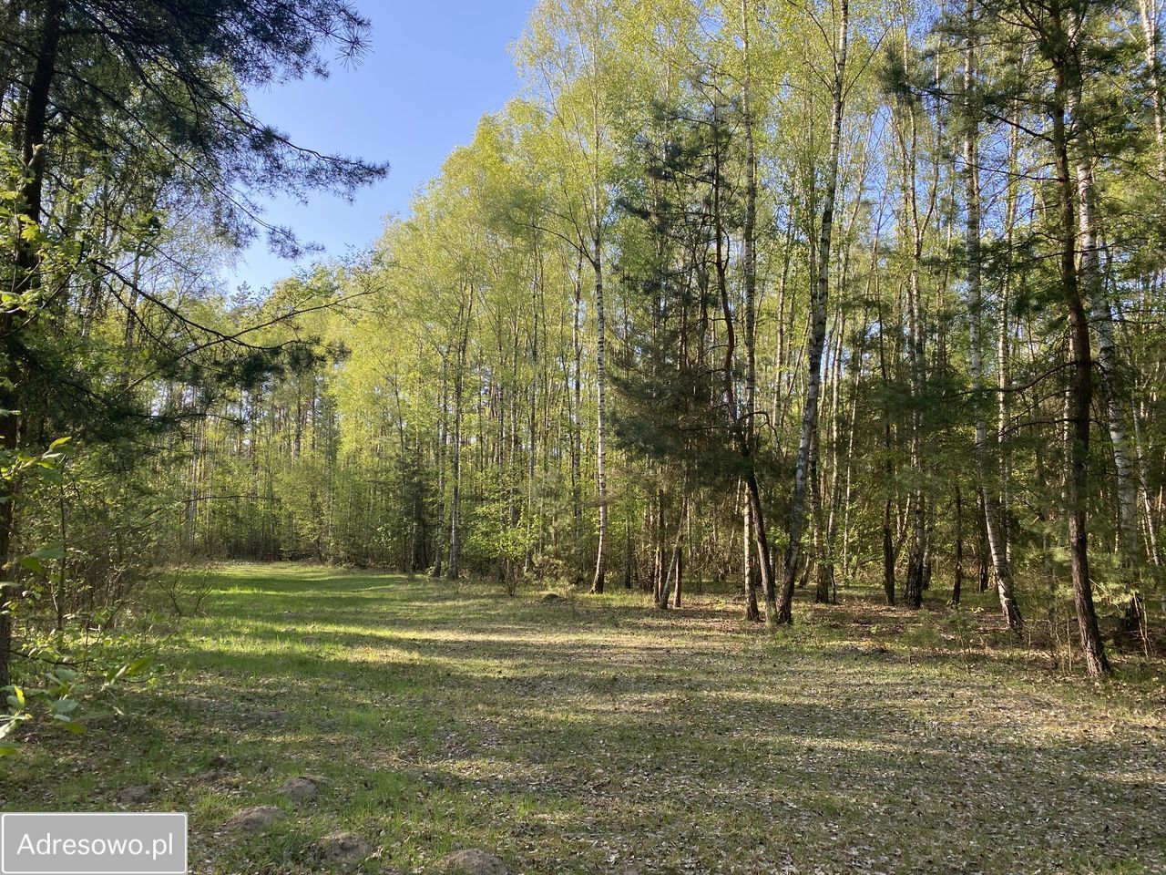 Działka budowlana Skórka. Zdjęcie 8