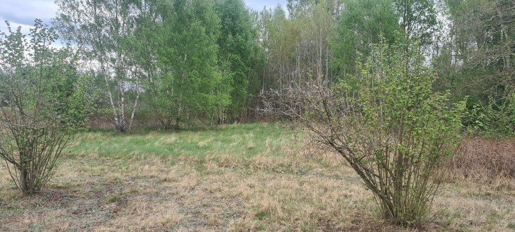 Działka rolno-budowlana Krasnołęka. Zdjęcie 5