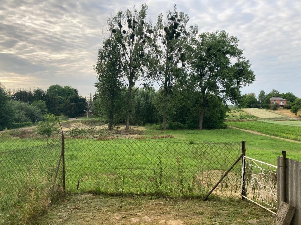 gospodarstwo Buchałowice. Zdjęcie 8