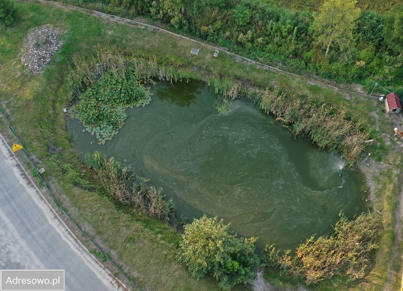 dom wolnostojący, 9 pokoi Ładnówko. Zdjęcie 5