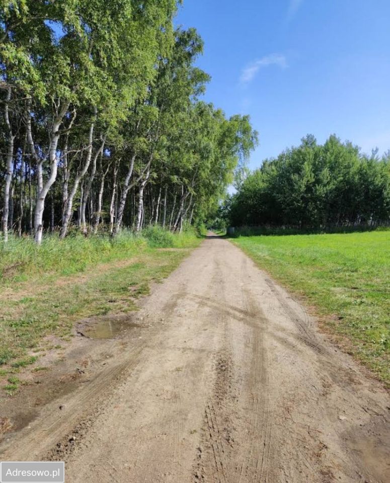 Działka inwestycyjna Kopań. Zdjęcie 7