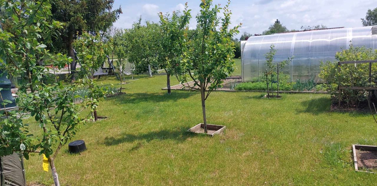 Działka rod Grochowiska. Zdjęcie 27