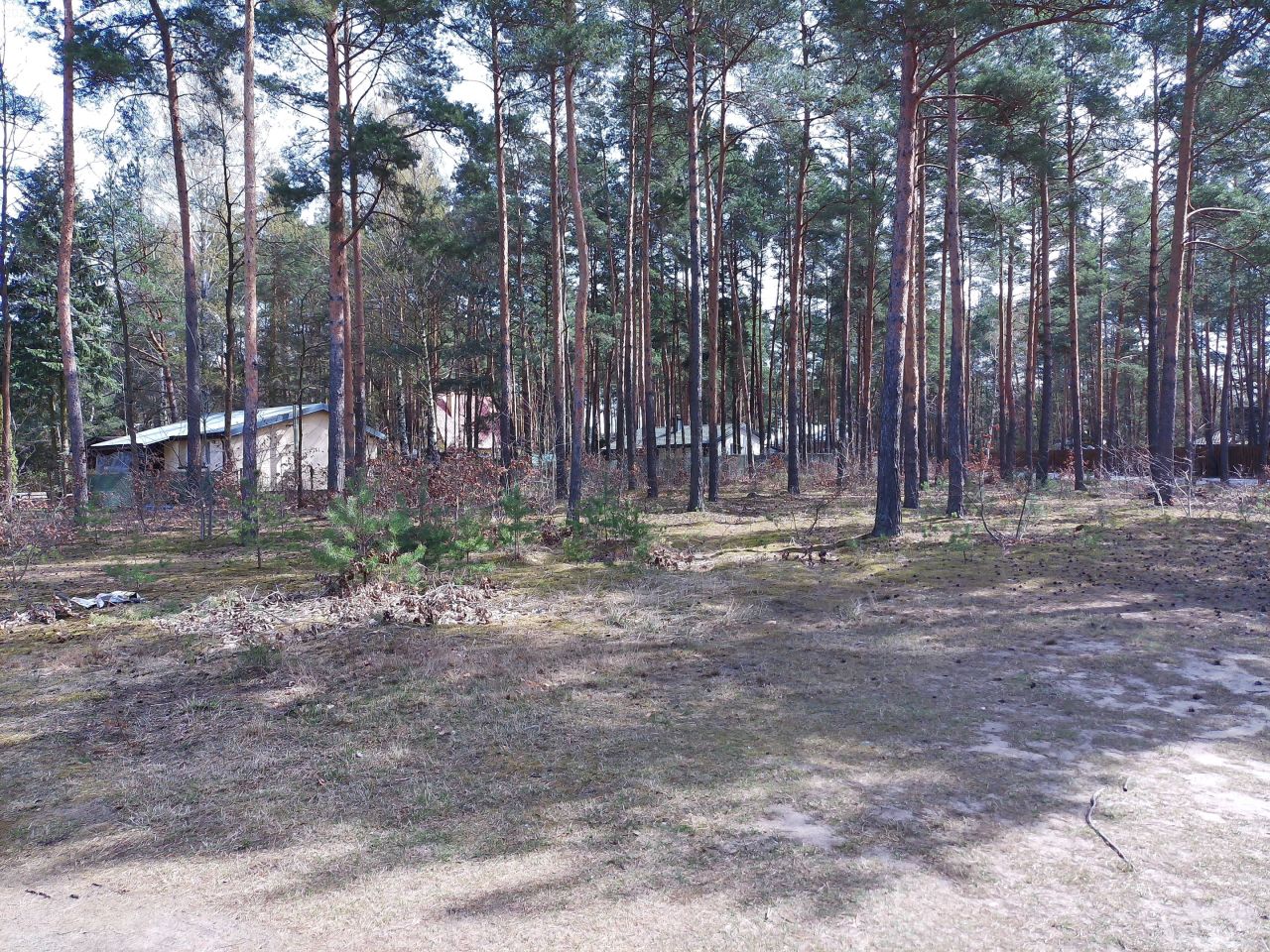 Działka budowlana Marynino, Sosnowa. Zdjęcie 25