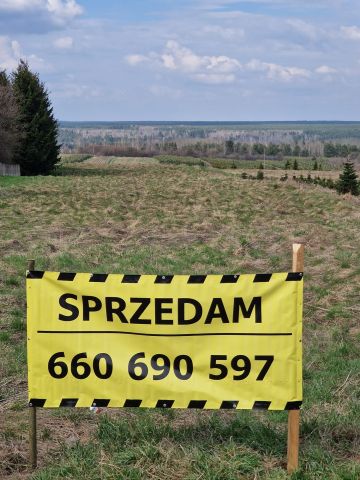 Działka rolno-budowlana Wielka Wieś Podmiasto. Zdjęcie 1