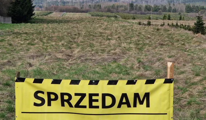 Działka rolno-budowlana Wielka Wieś Podmiasto