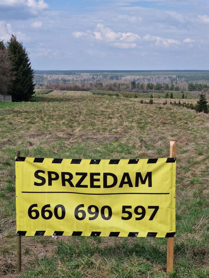 Działka rolno-budowlana Wielka Wieś Podmiasto. Zdjęcie 1