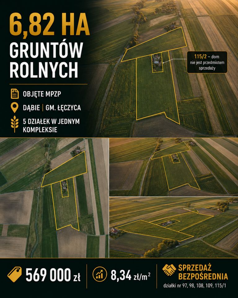 Działka rolno-budowlana Dąbie. Zdjęcie 3