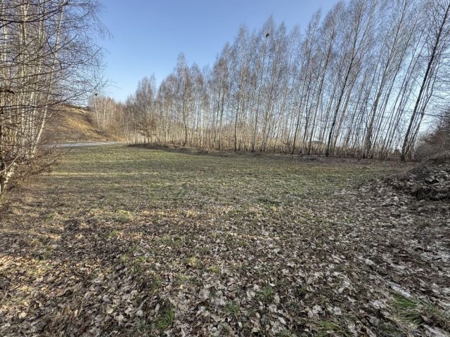 Działka rolna Płouszowice. Zdjęcie 1