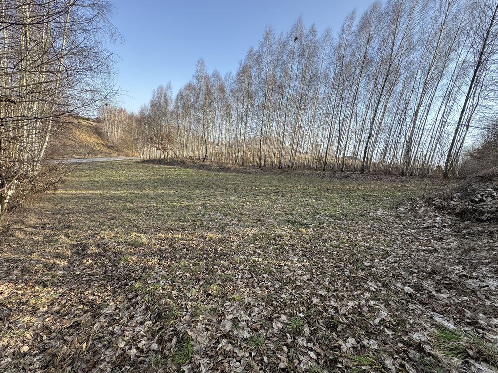 Działka rolna Płouszowice. Zdjęcie 1