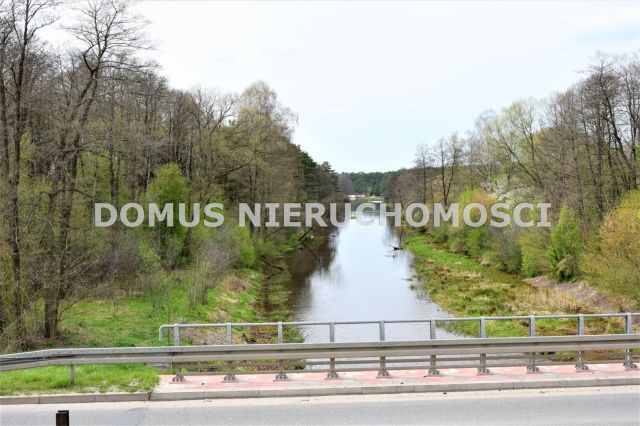 Działka leśna Grębosze. Zdjęcie 5