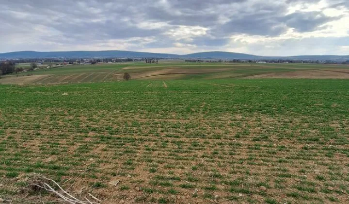 Działka rolna Grzegorzowice