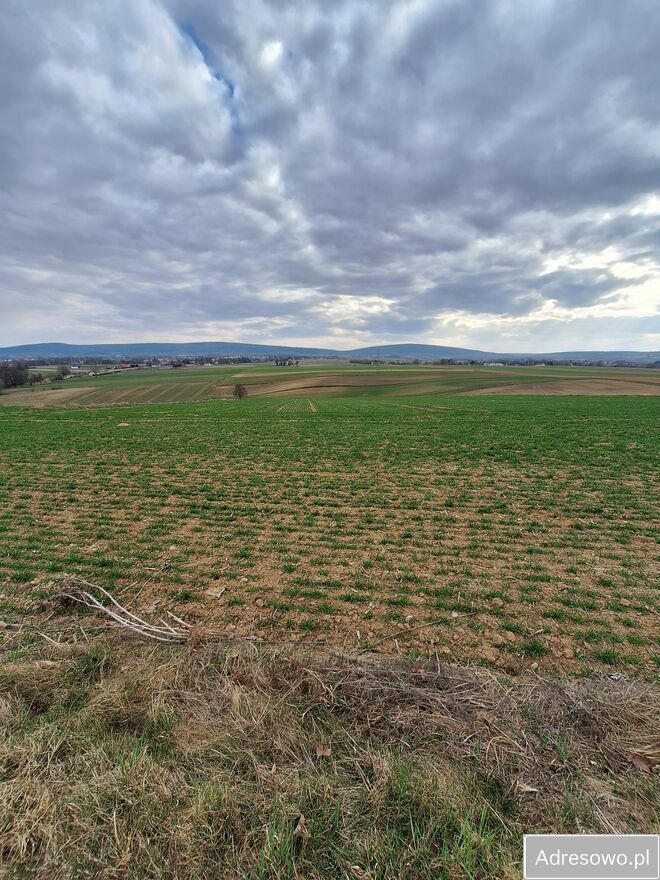 Działka rolna Grzegorzowice. Zdjęcie 1