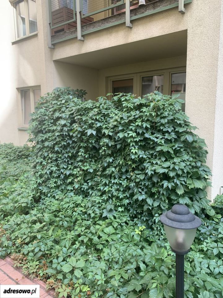 Mieszkanie 2-pokojowe Warszawa Mokotów, ul. Bukowińska. Zdjęcie 7