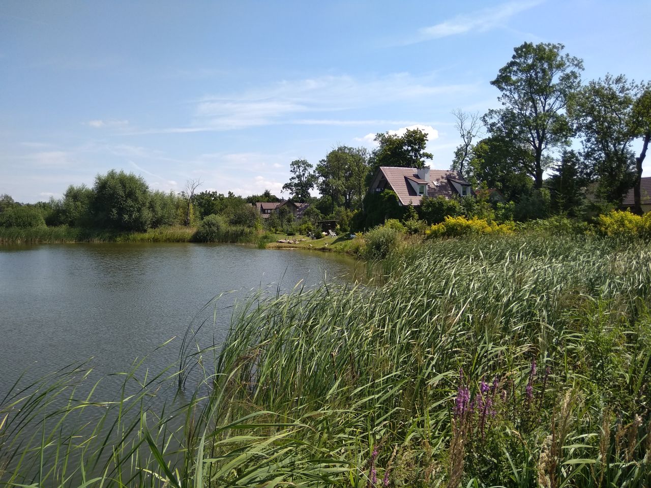 dom wolnostojący, 3 pokoje Nowa Jabłona. Zdjęcie 9