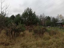 Działka budowlana Sulejów, ul. Dobra Woda. Zdjęcie 1