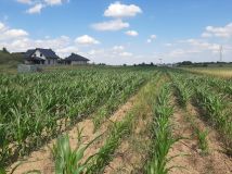 Działka budowlana Ruszowice, ul. Oliwkowa. Zdjęcie 4