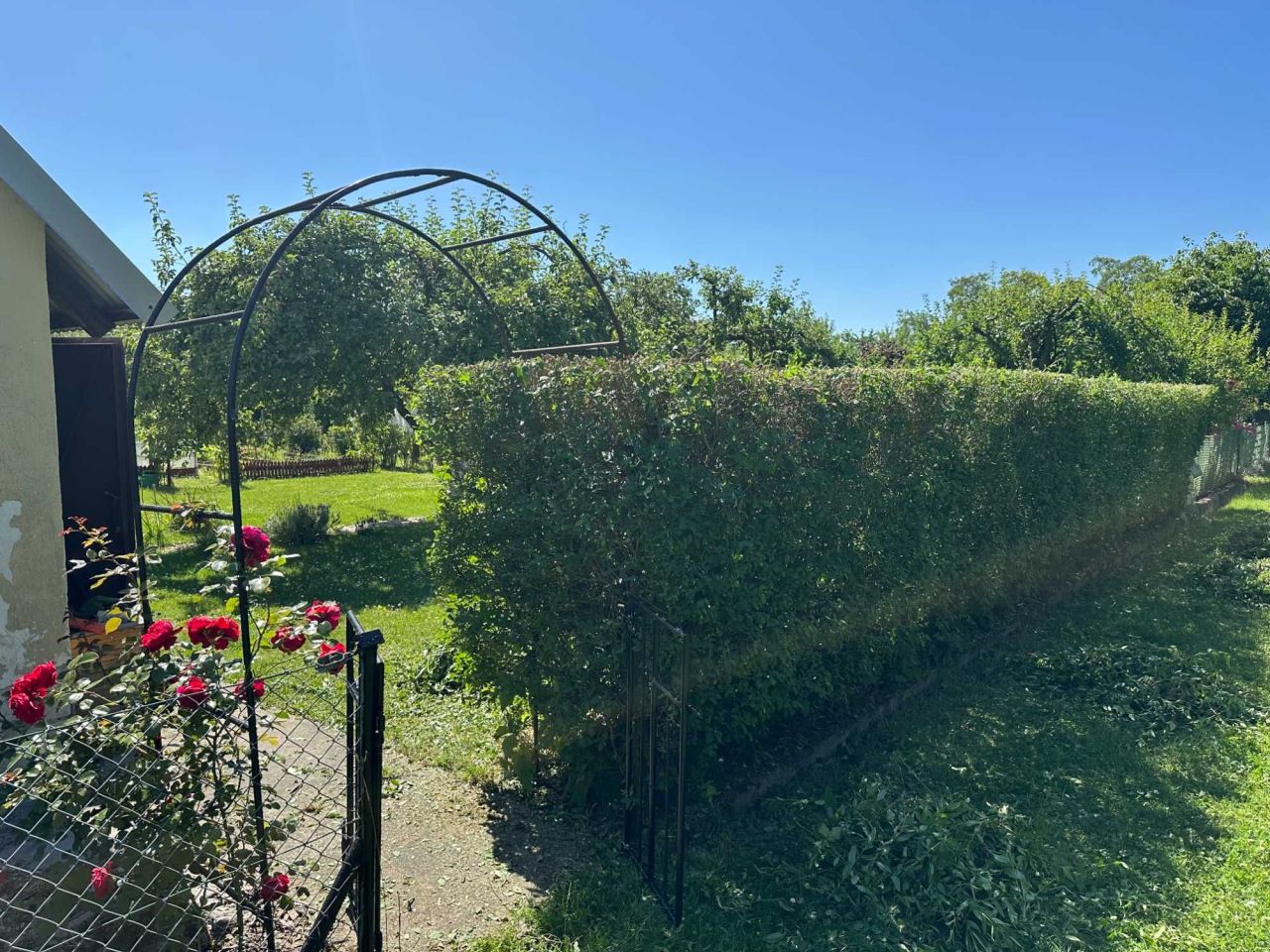 Działka rod Grzybiany. Zdjęcie 7