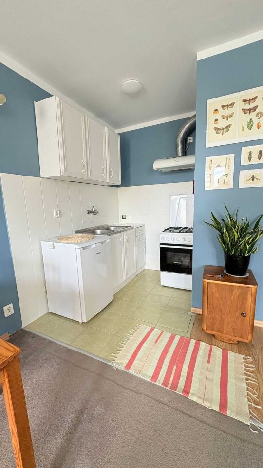 Mieszkanie 1-pokojowe Stróża. Zdjęcie 8