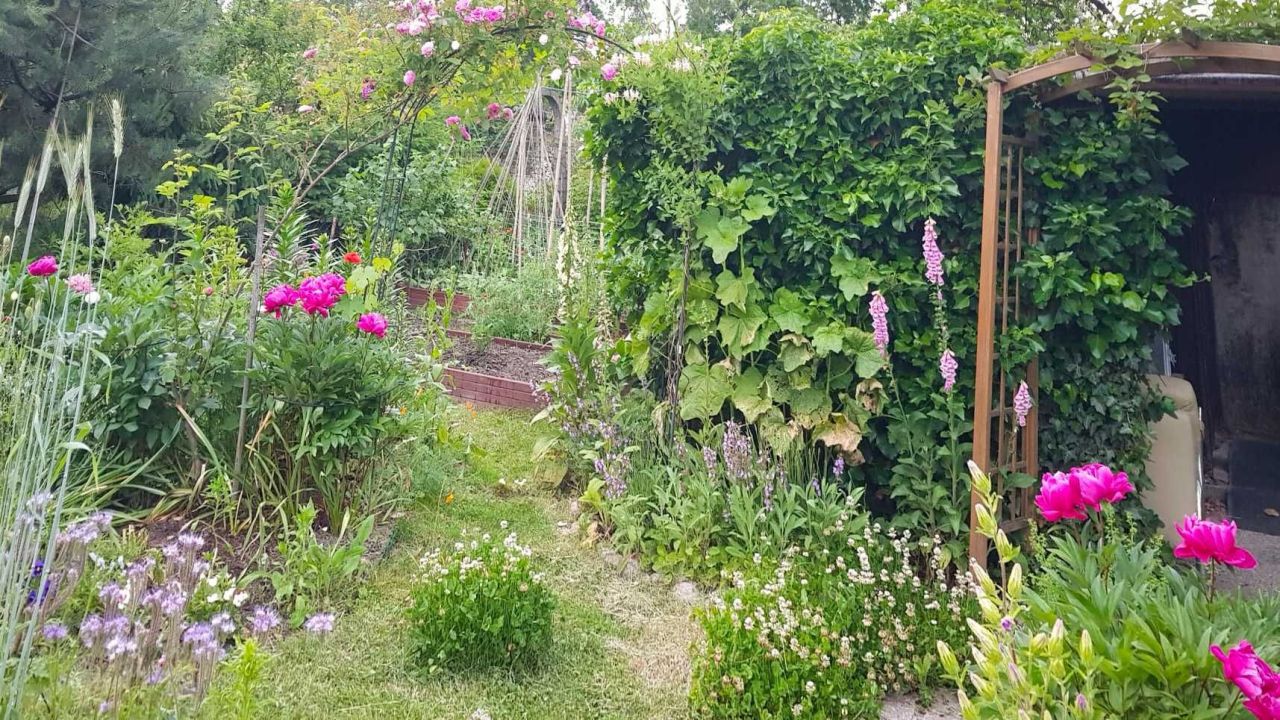 Działka rod Warszawa Ochota, ul. Racławicka. Zdjęcie 5