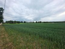 Działka rolno-budowlana Grabowiec. Zdjęcie 3