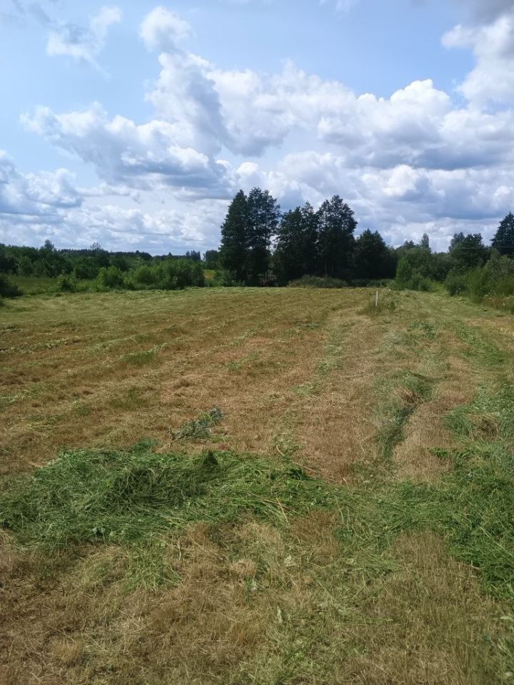 Działka budowlana Halickie. Zdjęcie 1
