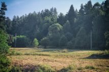 Działka budowlana Jeleśnia, ul. Sosnowa. Zdjęcie 2