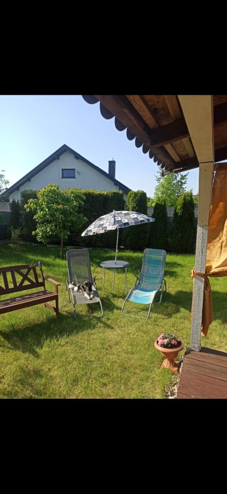 Działka rod Płock, Stróżewko 11/1. Zdjęcie 8