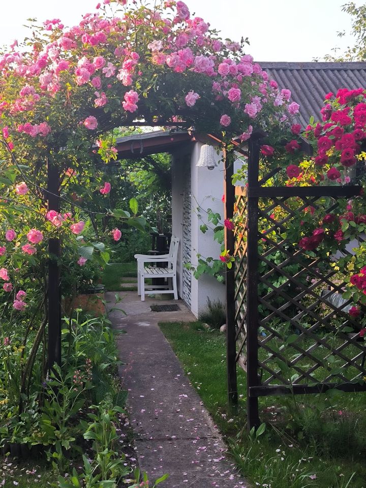 Działka rod Janowo, Ostrołęcka 2. Zdjęcie 3