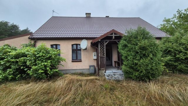 Działka siedliskowa Chojno-Błota Małe. Zdjęcie 2