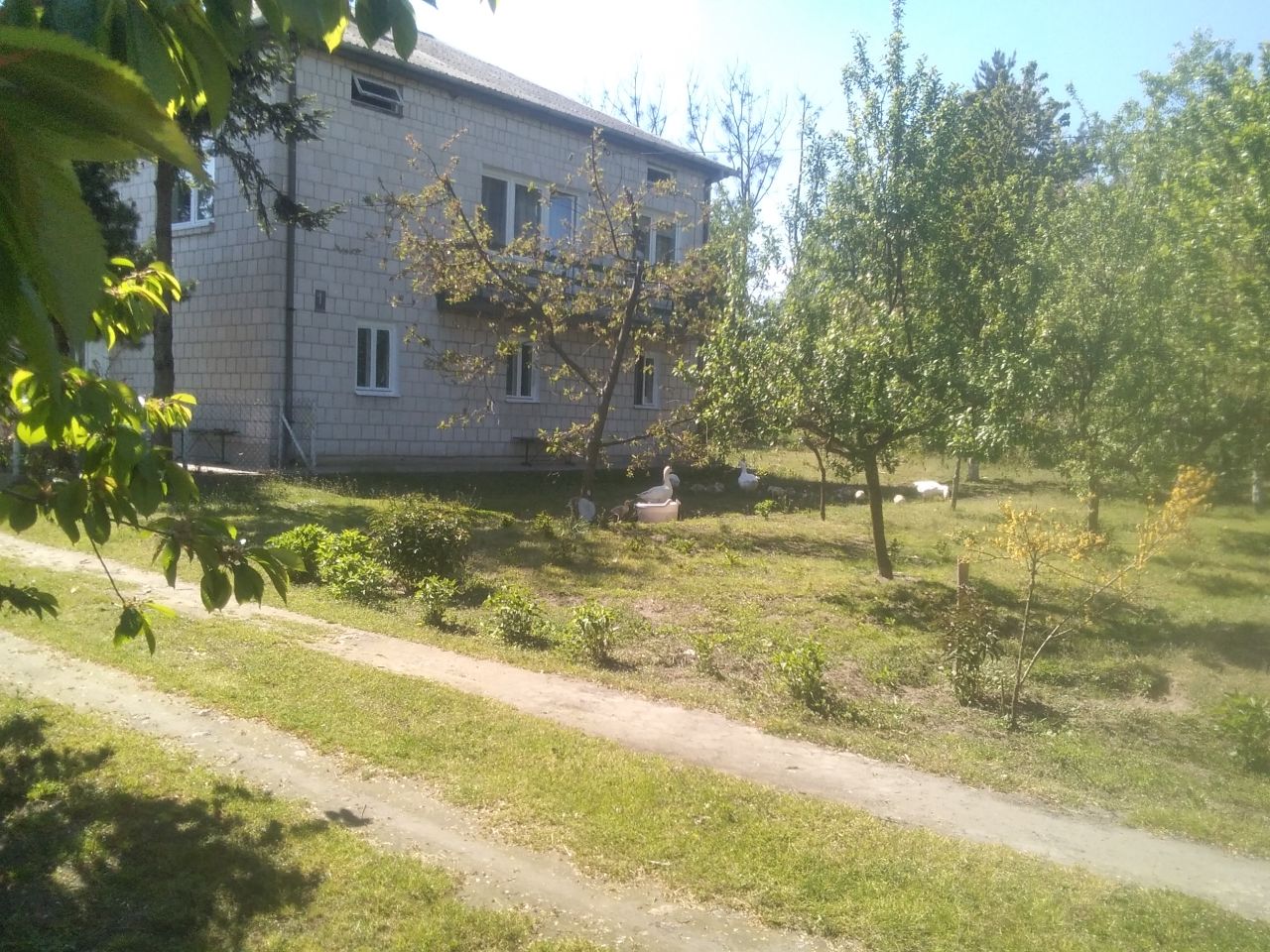 gospodarstwo, 4 pokoje Helenów. Zdjęcie 3