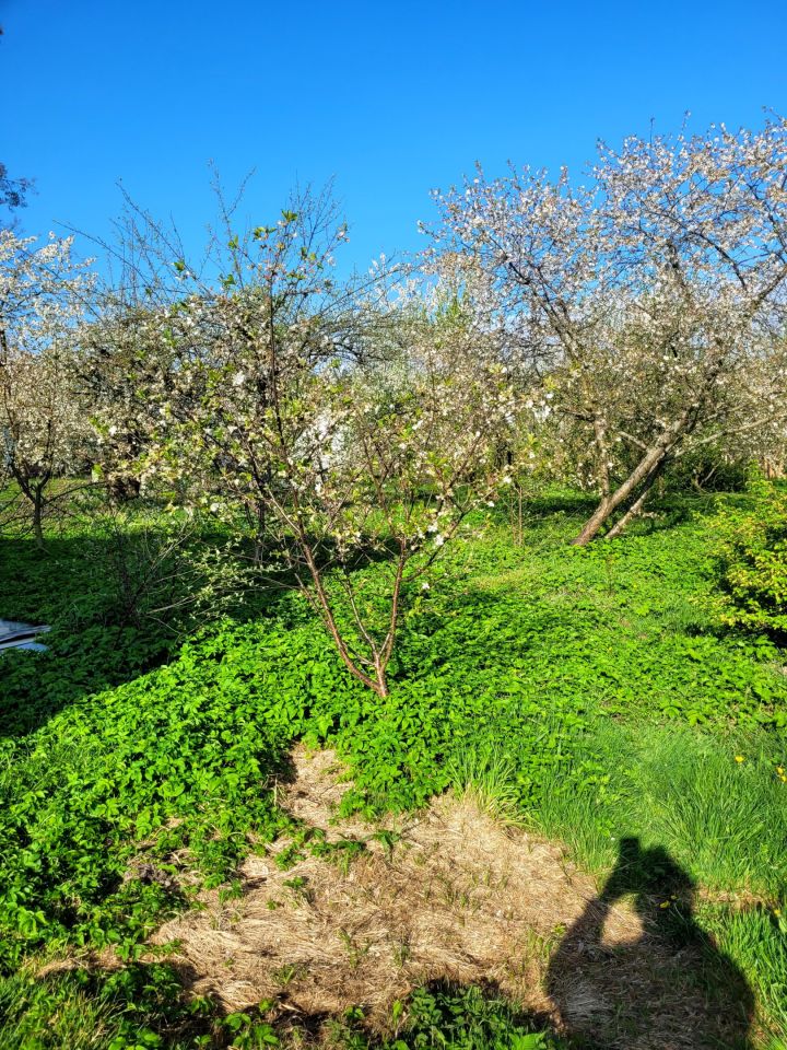 Działka budowlana Gierałcice, ul. Opolska. Zdjęcie 3