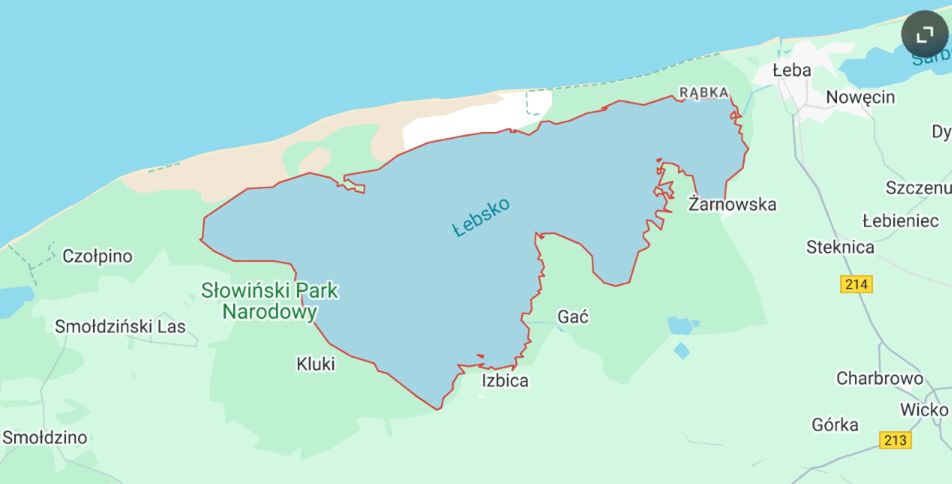 Działka rolno-budowlana Łokciowe. Zdjęcie 3