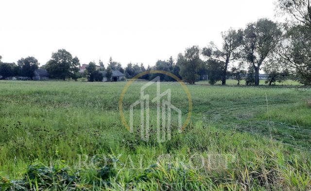 Działka rolna Rudno. Zdjęcie 5