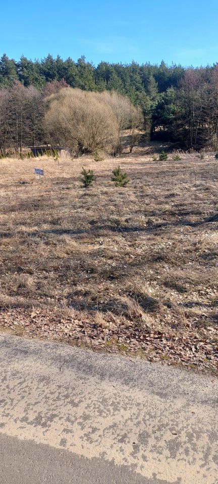 Działka rolno-budowlana Zgoda. Zdjęcie 3