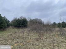 Działka rolna Gorzków Stary. Zdjęcie 3