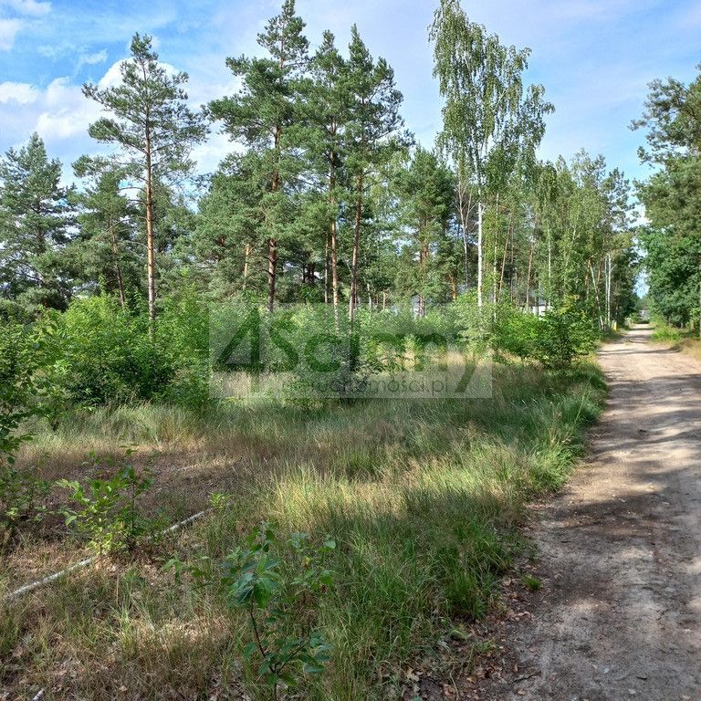 Działka budowlana Chotomów. Zdjęcie 8